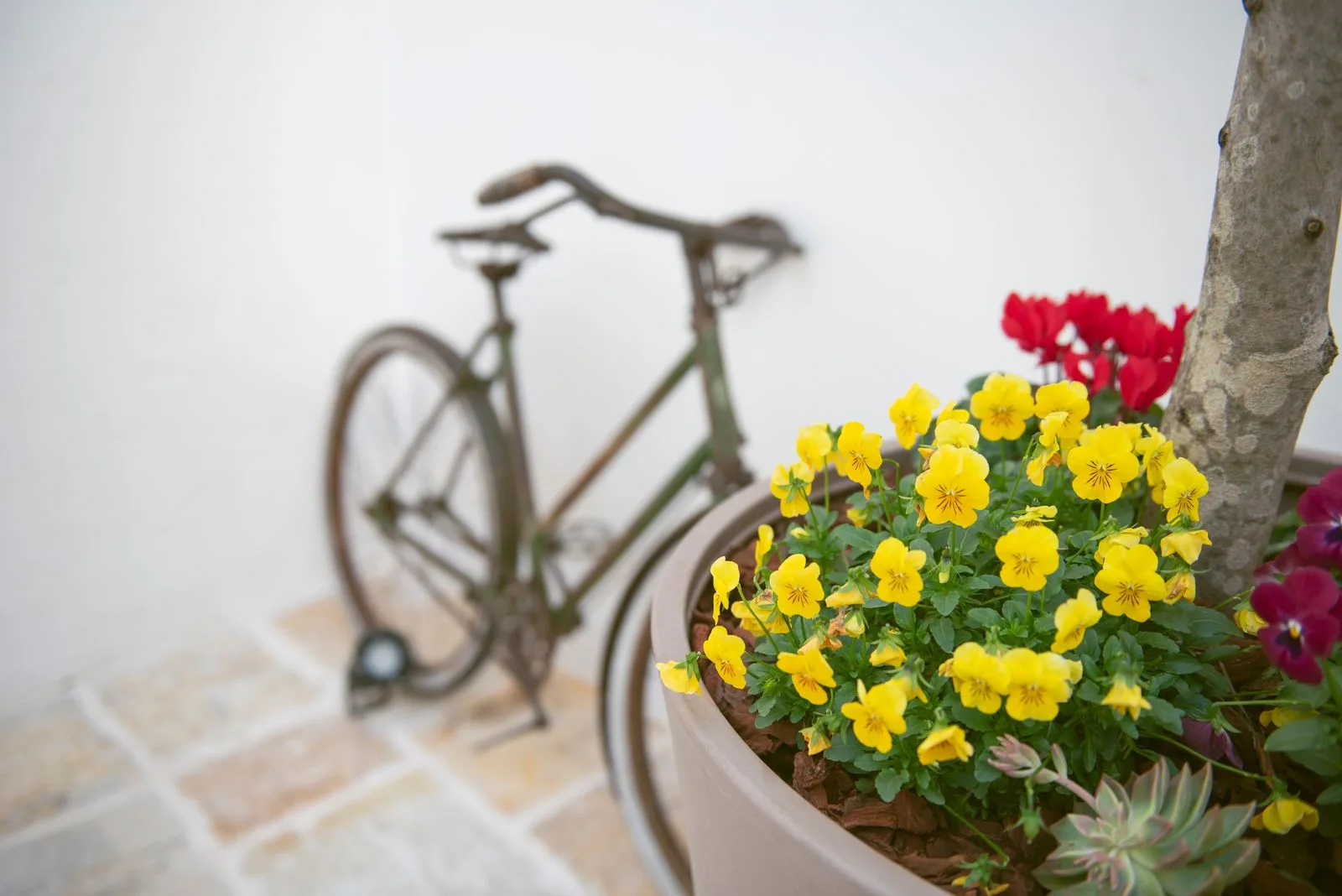 Dettagli del patio storico del relais